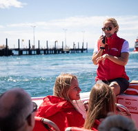 Rottnest Island Tour from Perth or Fremantle including Adventure Speed Boat Ride