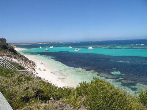 Rottnest Island Tour From Perth Or Fremantle Including Adventure Speed Boat Ride - Holiday Find 2