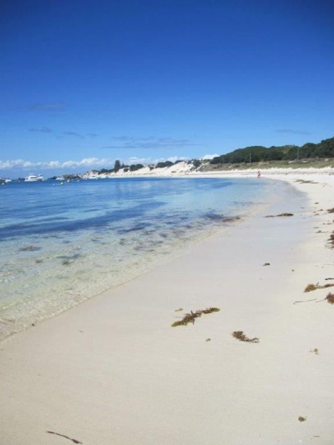 Rottnest Island Tour From Perth Or Fremantle Including Adventure Speed Boat Ride - Holiday Find 4