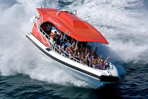 Rottnest Island Tour From Perth Or Fremantle Including Adventure Speed Boat Ride - Holiday Find 11