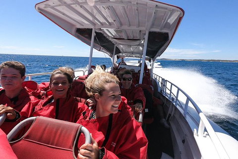 Rottnest Island Tour From Perth Or Fremantle Including Adventure Speed Boat Ride - Holiday Find 8