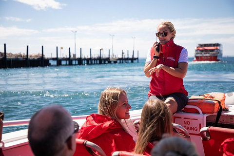 Rottnest Island Tour From Perth Or Fremantle Including Adventure Speed Boat Ride - Holiday Find 12