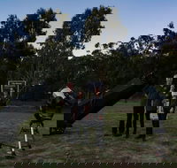 Stargazing Busselton with Mobile Observatory - Holiday Find