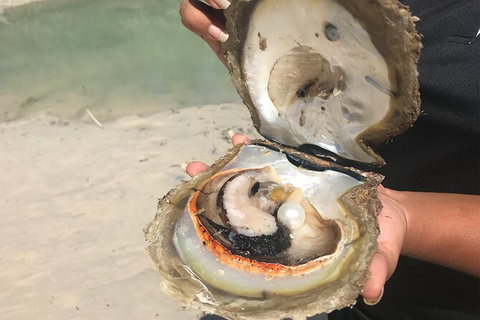 Willie Creek Pearl Farm Tour From Broome - Holiday Find 6