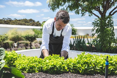 Voyager Estate: Private Winery Tasting Tour In Margaret River With Lunch - Holiday Find 8