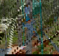 Busselton High Ropes and Zipline Adventure - Holiday Find