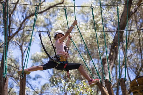 Busselton High Ropes And Zipline Adventure - Holiday Find 1