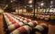 Cape Mentelle Behind The Scenes Tour - thumb 1