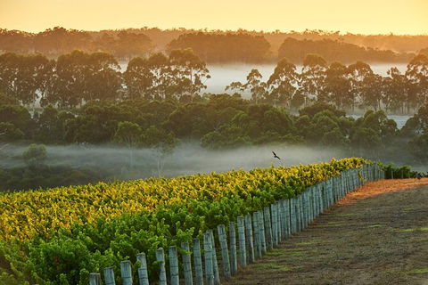 Cape Mentelle Behind The Scenes Tour - Holiday Find 3