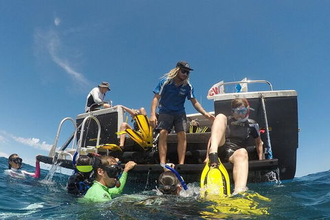Deluxe WhaleShark Swim Tour On The Ningaloo Reef From Exmouth - Holiday Find 6