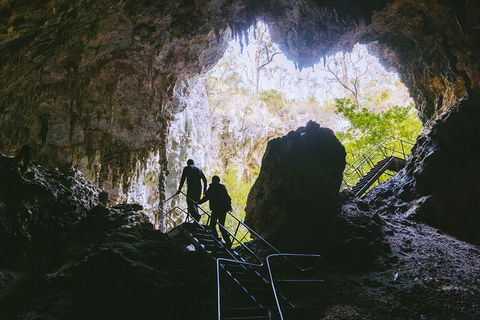 Mammoth Cave Self-guided Audio Tour - Holiday Find 1