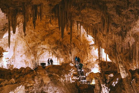 Mammoth Cave Self-guided Audio Tour - Holiday Find 0