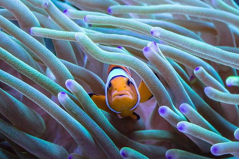 AQWA The Aquarium Of Western Australia: General Admission - Holiday Find 4