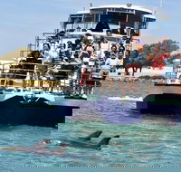 Mandurah Dolphin and Scenic Marine Cruise - Holiday Find