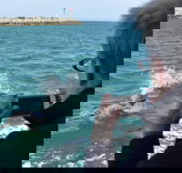 Mandurah Dolphin Island Adventure - Holiday Find