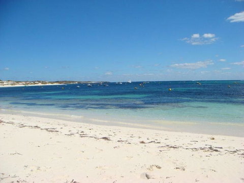 Rottnest Island With Bike Hire From Perth Or Fremantle - Holiday Find 24