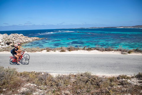 Rottnest Island With Bike Hire From Perth Or Fremantle - Holiday Find 1