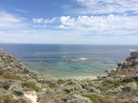 Rottnest Island With Bike Hire From Perth Or Fremantle - Holiday Find 2