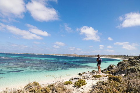 Rottnest Island With Bike Hire From Perth Or Fremantle - Holiday Find 31
