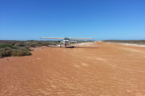 Abrolhos Islands Scenic Flight & Snorkel Adventure From Perth - Holiday Find 6