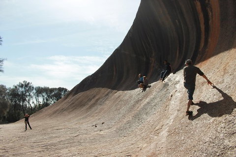 Wave Rock, Pinnacles And Rottnest One Day Aeroplane Tour - Holiday Find 5