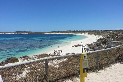Wave Rock, Pinnacles And Rottnest One Day Aeroplane Tour - Holiday Find 7