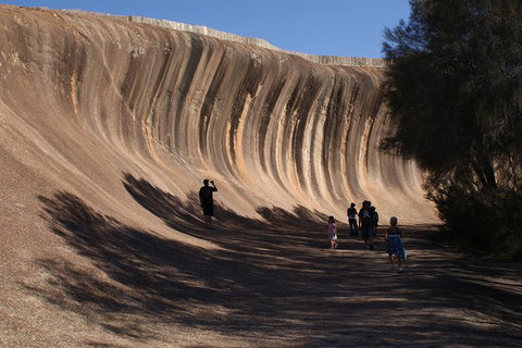 Wave Rock, Pinnacles And Rottnest One Day Aeroplane Tour - Holiday Find 2