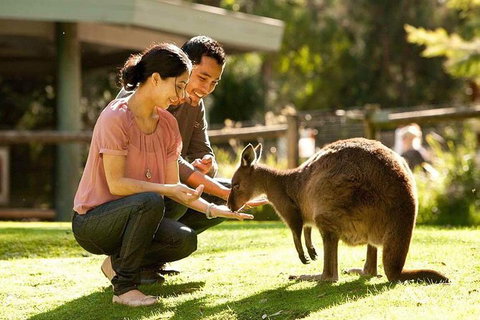 Very Best Of Perth Tour - Wildlife Park & City Highlights Tour - Holiday Find 0