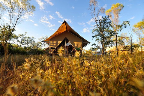 APT Kimberley Wilderness Adventures Purnululu (Bungle Bungle) 4WD Experience - Holiday Find 10