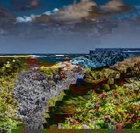 Guided Walks on the Cape to Cape - Wilyabrup Cliffs - Holiday Find