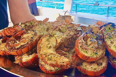 Rottnest Island Day Tour With Wild Seafood Banquet Cruise - Holiday Find 8