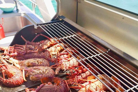 Rottnest Island Day Tour With Wild Seafood Banquet Cruise - Holiday Find 16