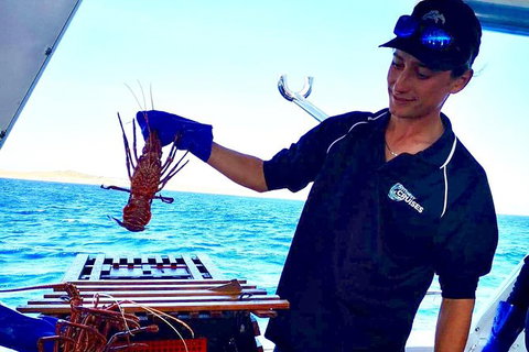 Rottnest Island Day Tour With Wild Seafood Banquet Cruise - Holiday Find 7