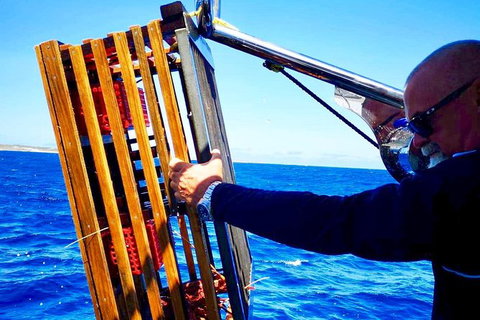 Rottnest Island Day Tour With Wild Seafood Banquet Cruise - Holiday Find 9