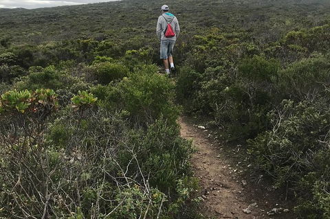 Cape To Cape Track Hike And Winery Tour - Holiday Find 10