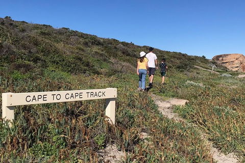 Cape To Cape Track Hike And Winery Tour - Holiday Find 4