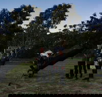 Dusk to Dawn Astronomy Margaret River - Holiday Find