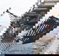 Rottnest Island Wild Seafood Package from Perth with Transfer - Holiday Find