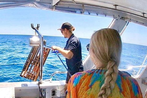 Rottnest Island 5-Course Deluxe Seafood Banquet Cruise - Holiday Find 20