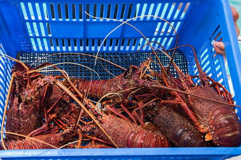 Rottnest Island 5-Course Deluxe Seafood Banquet Cruise - Holiday Find 3