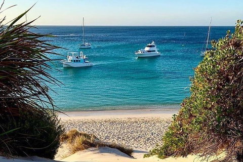 Rottnest Island 5-Course Deluxe Seafood Banquet Cruise - Holiday Find 16