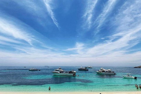 Rottnest Island 5-Course Deluxe Seafood Banquet Cruise - Holiday Find 7