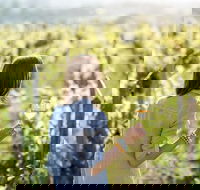 5 Hours Wineries Coffee Tasting Forest  Lunch at the Berry Farm - Holiday Find