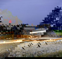 1 Day Private Phillip Island Tour VIP Charter up to 9 People - Holiday Find