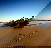 Phillip Island Ultimate Penguin Eco Tour or Skybox Experience - Holiday Find