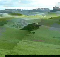 Day Tour of Phillip Island  Surrounding Region - Holiday Find