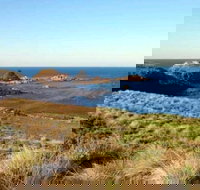 Phillip Island Walking  Bird Watching Tour - Holiday Find