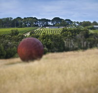 Estate to Plate Montalto Vineyard Gourmet Lunch and Wine-Tasting Tour - Holiday Find