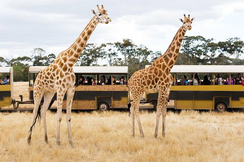 Werribee Open Range Zoo General Admission Ticket - Holiday Find 2