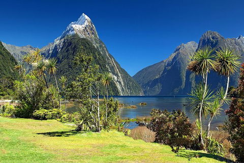Aroha Tangata Australia And New Zealand 20 Day - Holiday Find 1